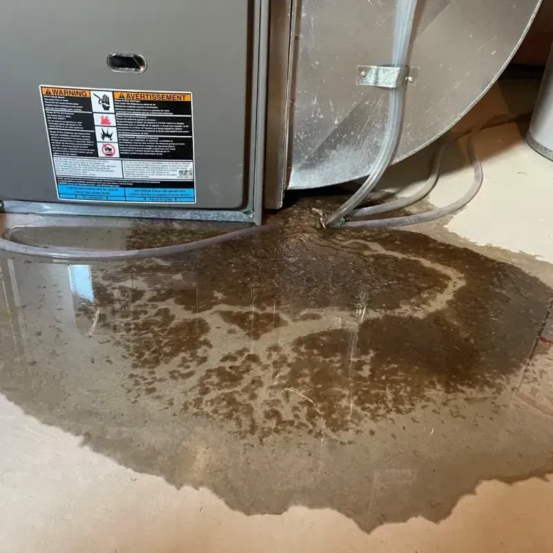 Appliance Leak Cleanup in Bishopville, SC